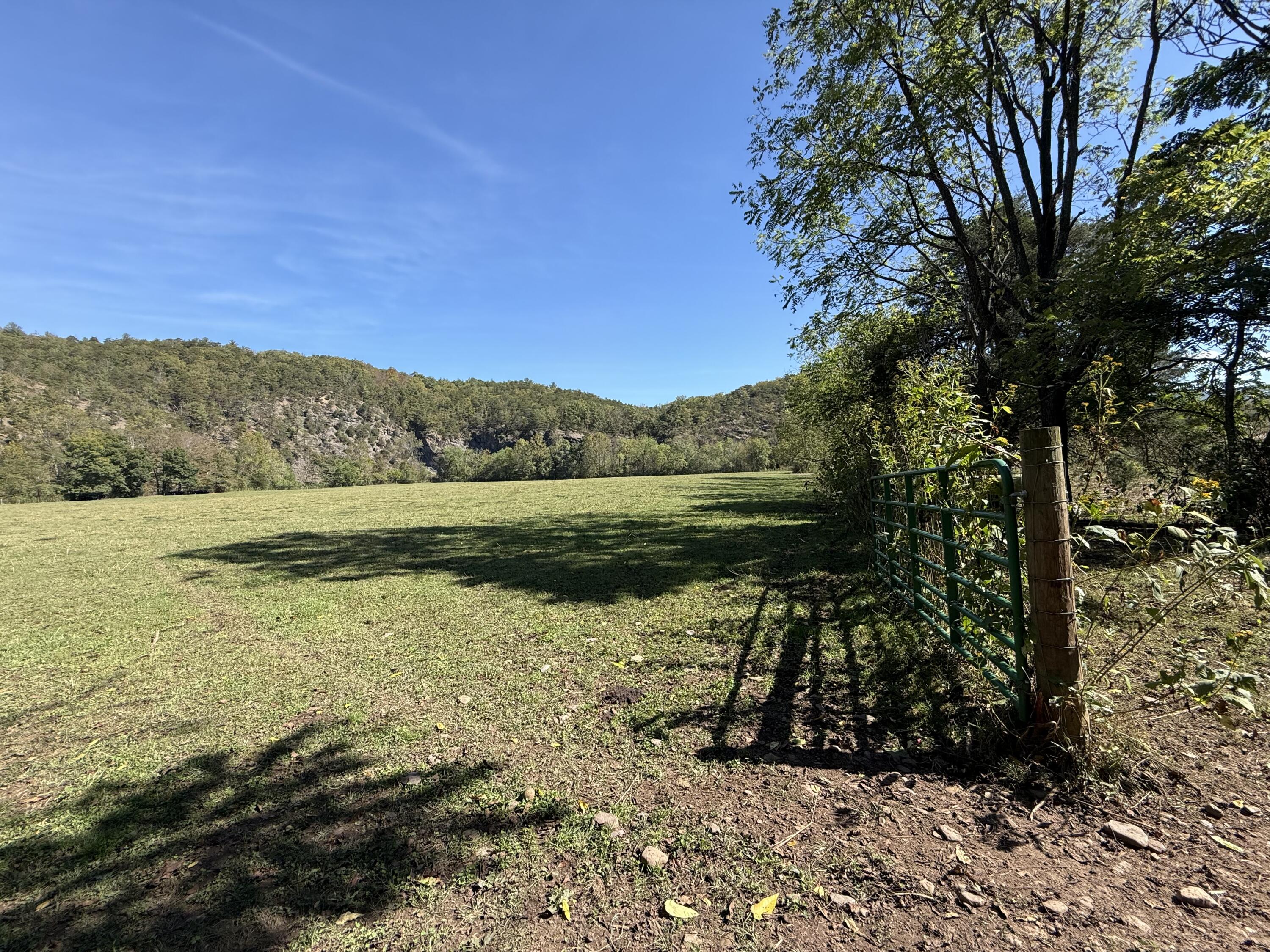 6402 Potts Creek Road Covington, VA 24426 - Photo 32 of 34 a view of a lake with a mountain in the background