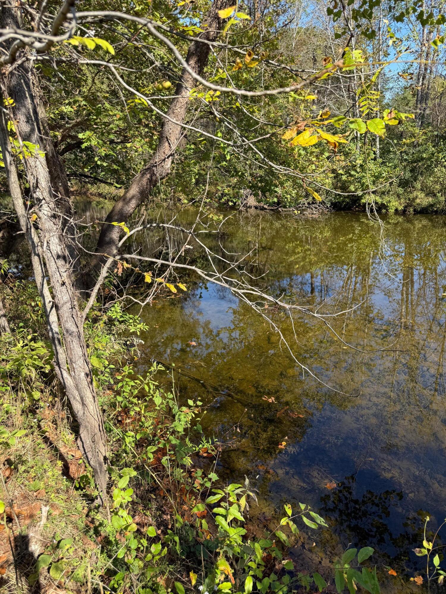 6402 Potts Creek Road Covington, VA 24426 - Photo 4 of 34 a view of a lake