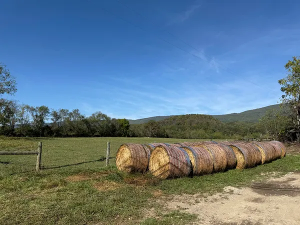 a view of a yard with an outdoor seating