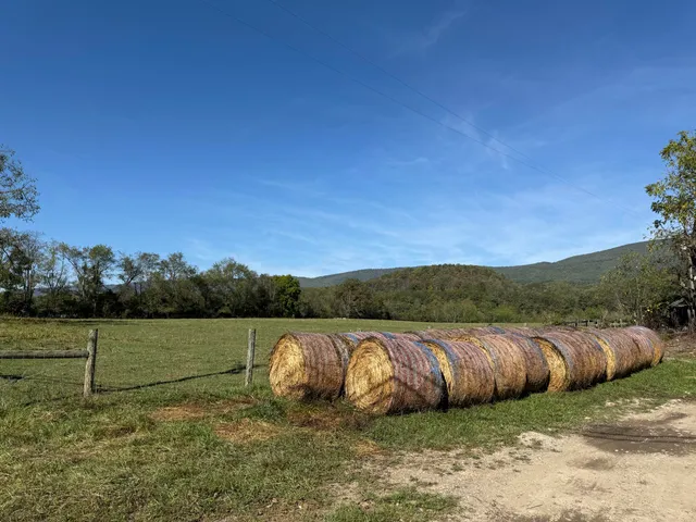 a view of a yard with an outdoor seating
