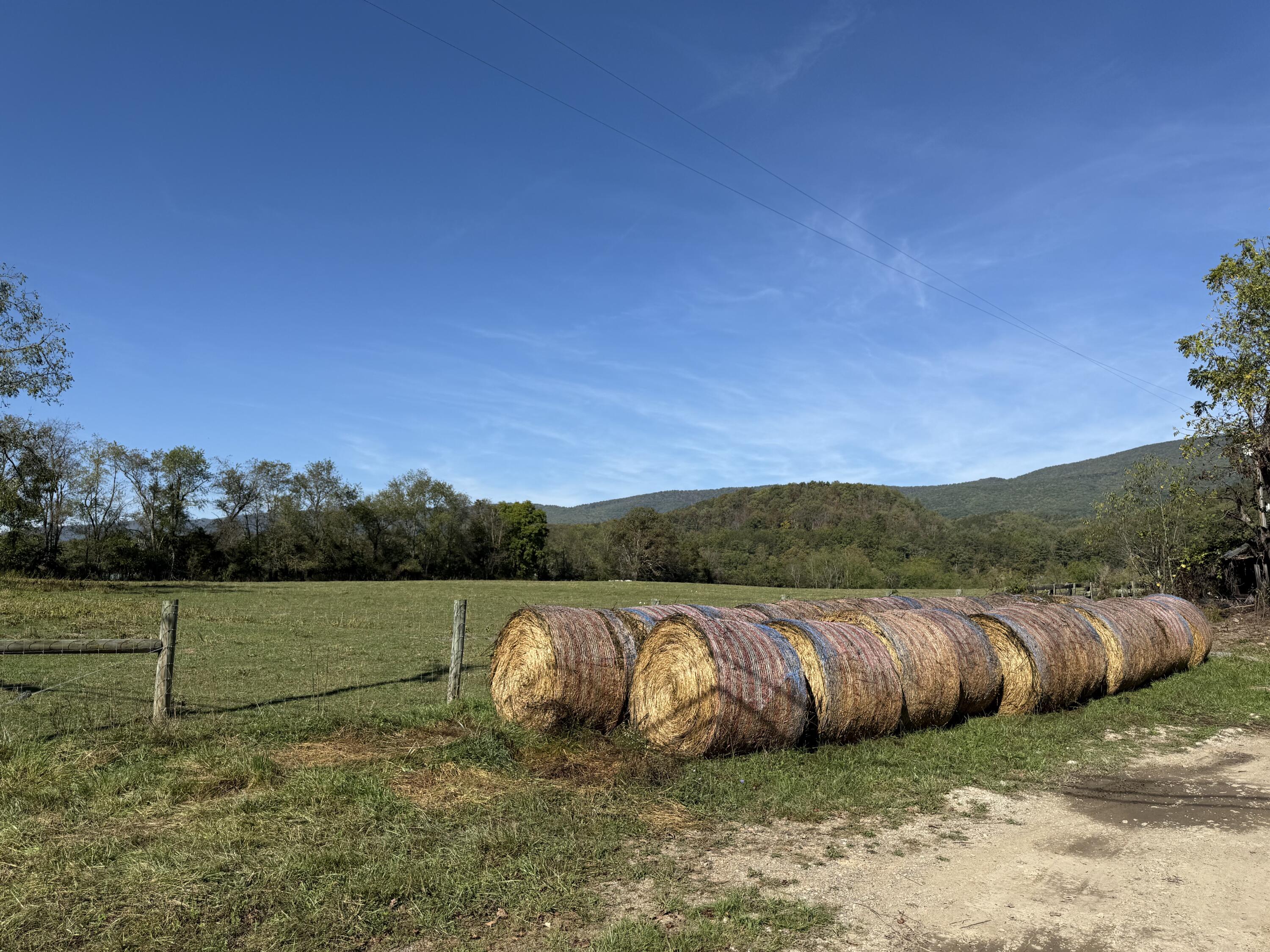 6402 Potts Creek Road Covington, VA 24426 - Photo 5 of 34 a view of a yard with an outdoor seating