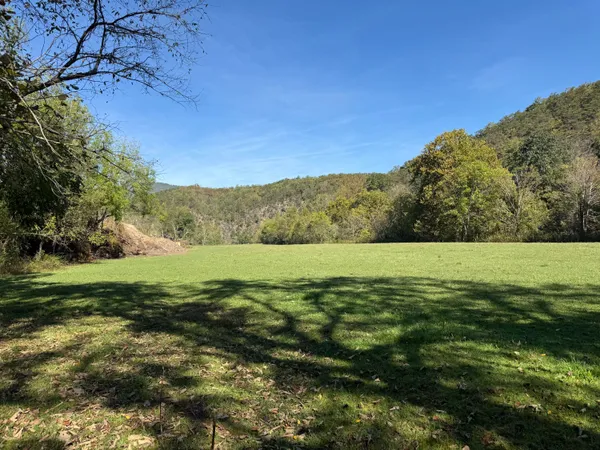 a view of a field with an ocean