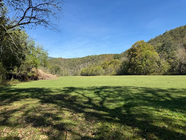 a view of a field with an ocean