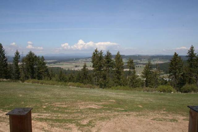 7501 East Greenbluff Road Colbert, WA 99005 - Photo 9 of 9