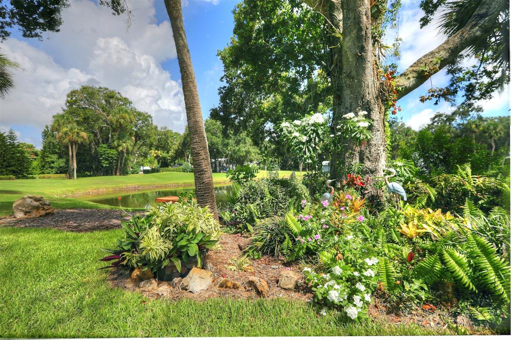 9635 Riverside Drive Sebastian, FL 32958 - Photo 42 of 58 a view of a garden with a tree