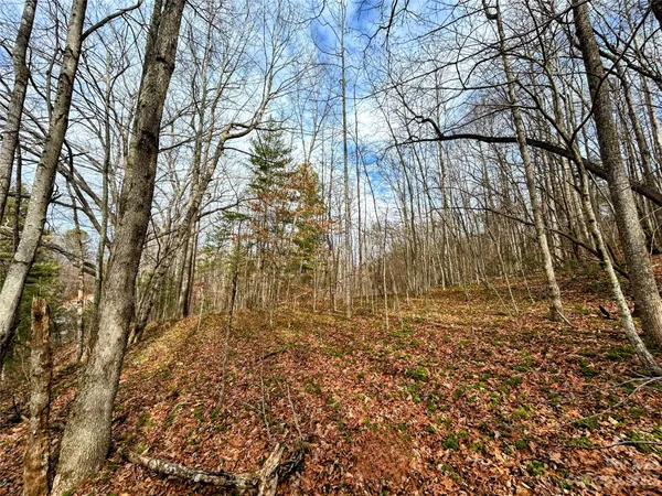 $38,200 | Lot 8 Azalea Way, Saluda, NC 28773