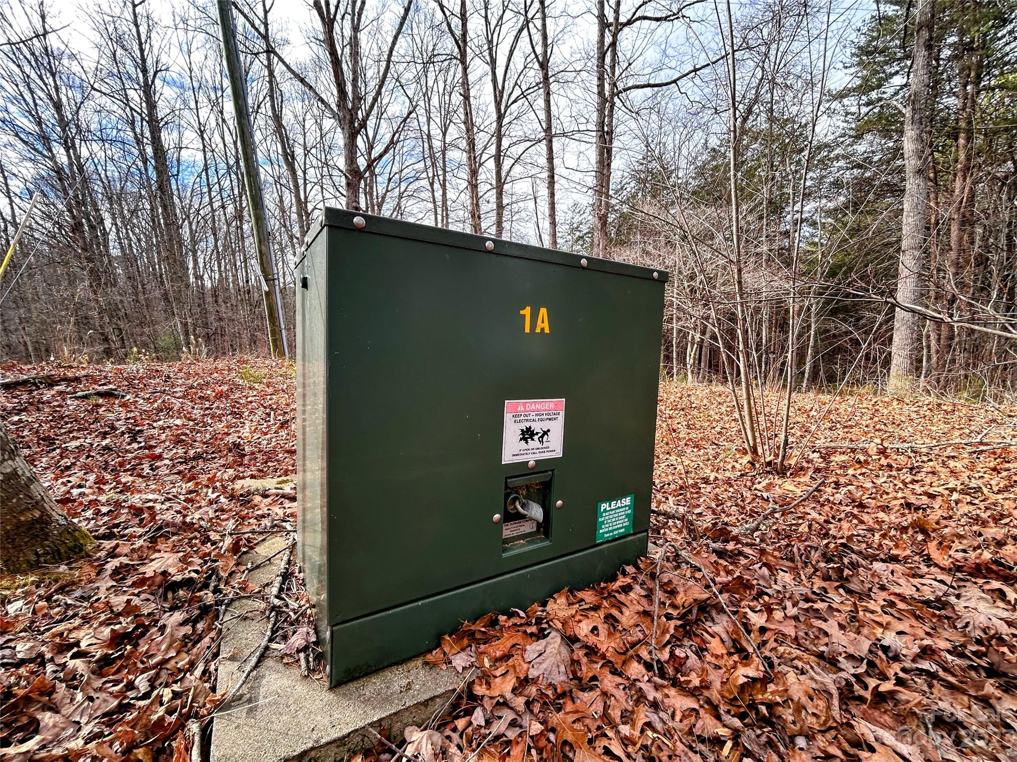 Lot 8 Azalea Way Saluda, NC 28773 - Photo 11 of 14
