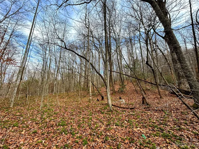 $38,200 | Lot 8 Azalea Way, Saluda, NC 28773