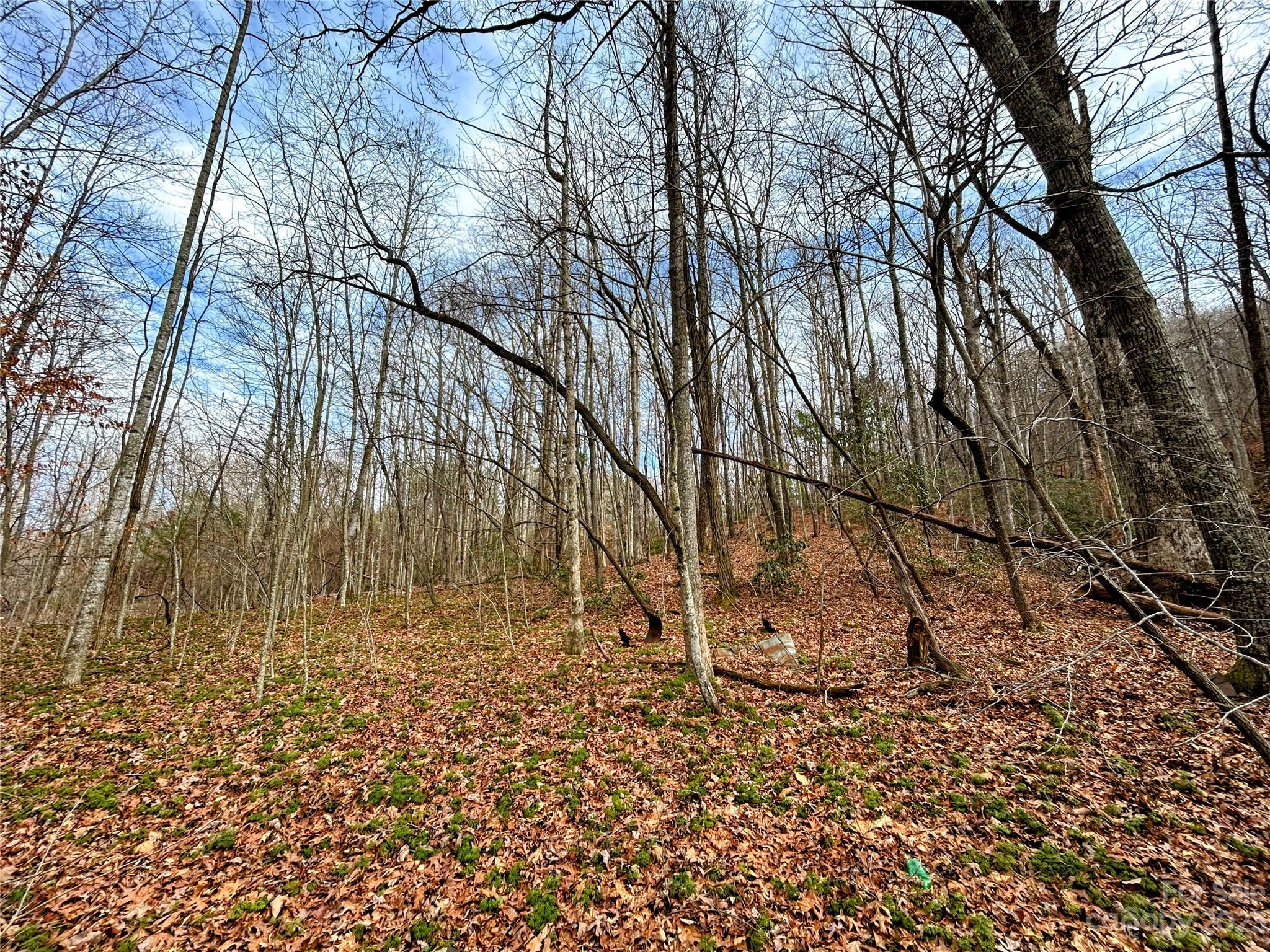 Lot 8 Azalea Way Saluda, NC 28773 - Photo 2 of 14