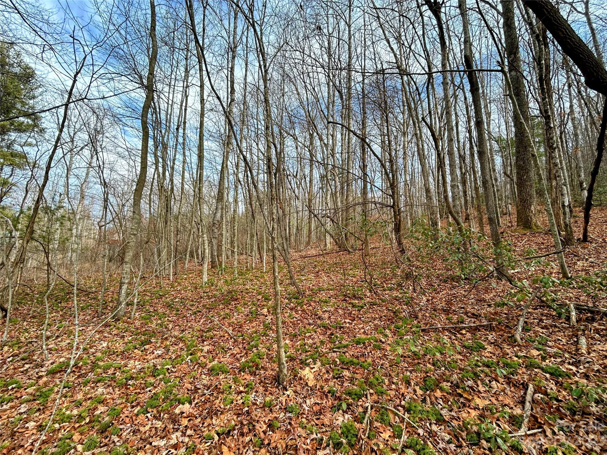 Lot 8 Azalea Way Saluda, NC 28773 - Photo 3 of 14