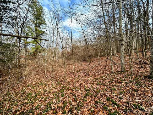 $38,200 | Lot 8 Azalea Way, Saluda, NC 28773