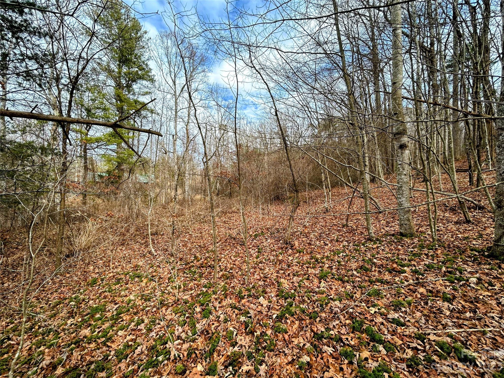 Lot 8 Azalea Way Saluda, NC 28773 - Photo 4 of 14