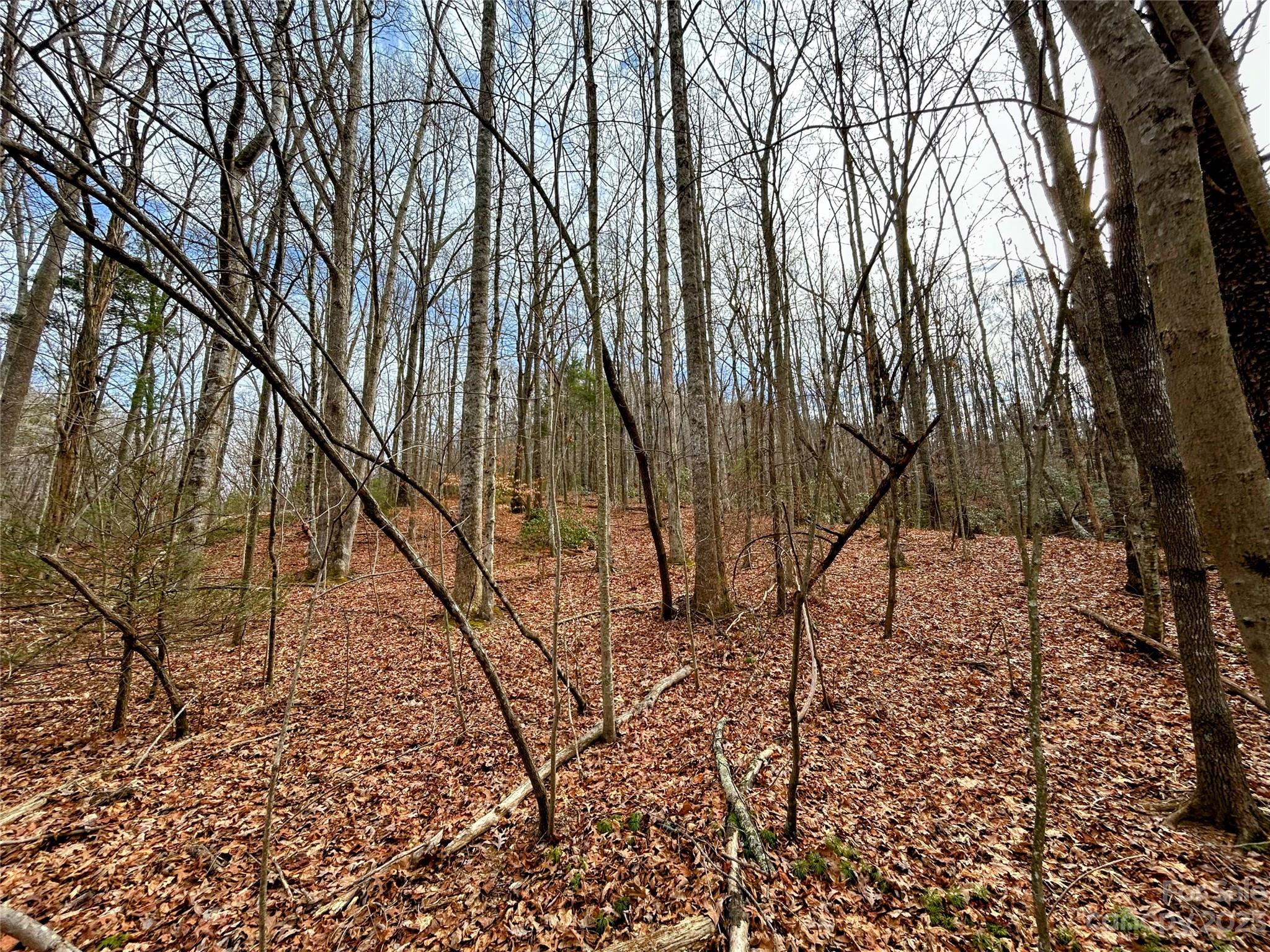 Lot 8 Azalea Way Saluda, NC 28773 - Photo 5 of 14