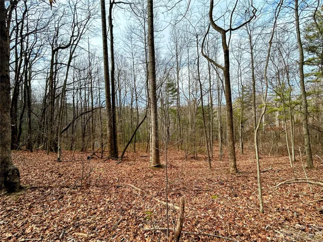 $38,200 | Lot 8 Azalea Way, Saluda, NC 28773