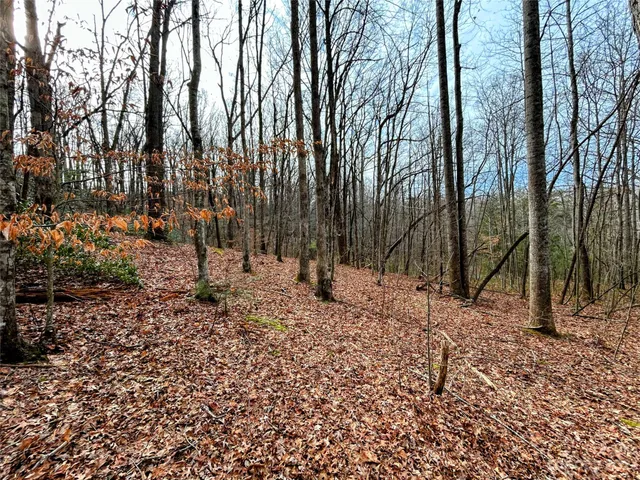 $38,200 | Lot 8 Azalea Way, Saluda, NC 28773