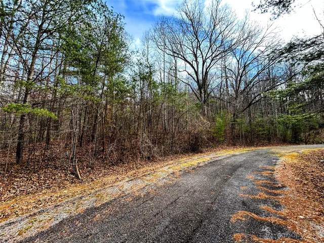$38,200 | Lot 8 Azalea Way, Saluda, NC 28773