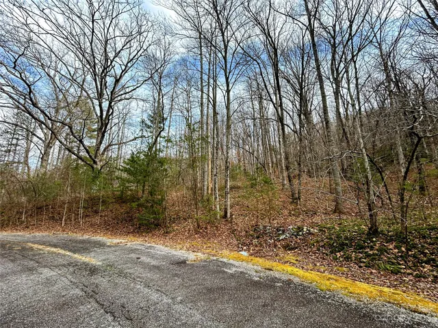 $38,200 | Lot 8 Azalea Way, Saluda, NC 28773