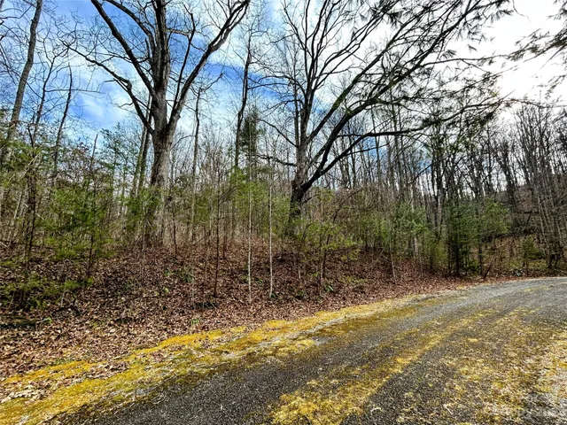 $38,200 | Lot 8 Azalea Way, Saluda, NC 28773