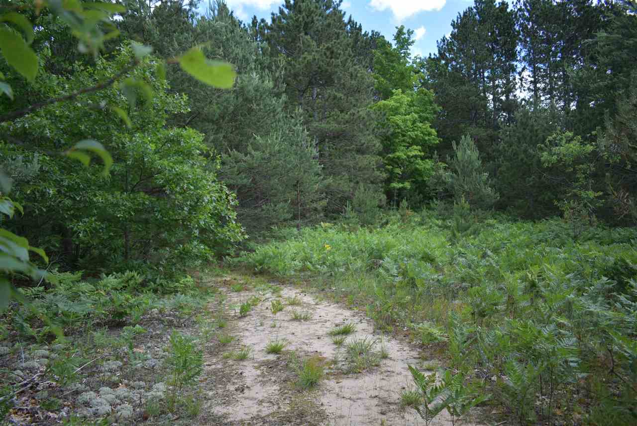 2664 Gonder Road Interlochen, MI 49643 - Photo 34 of 45 1839453-33.JPG