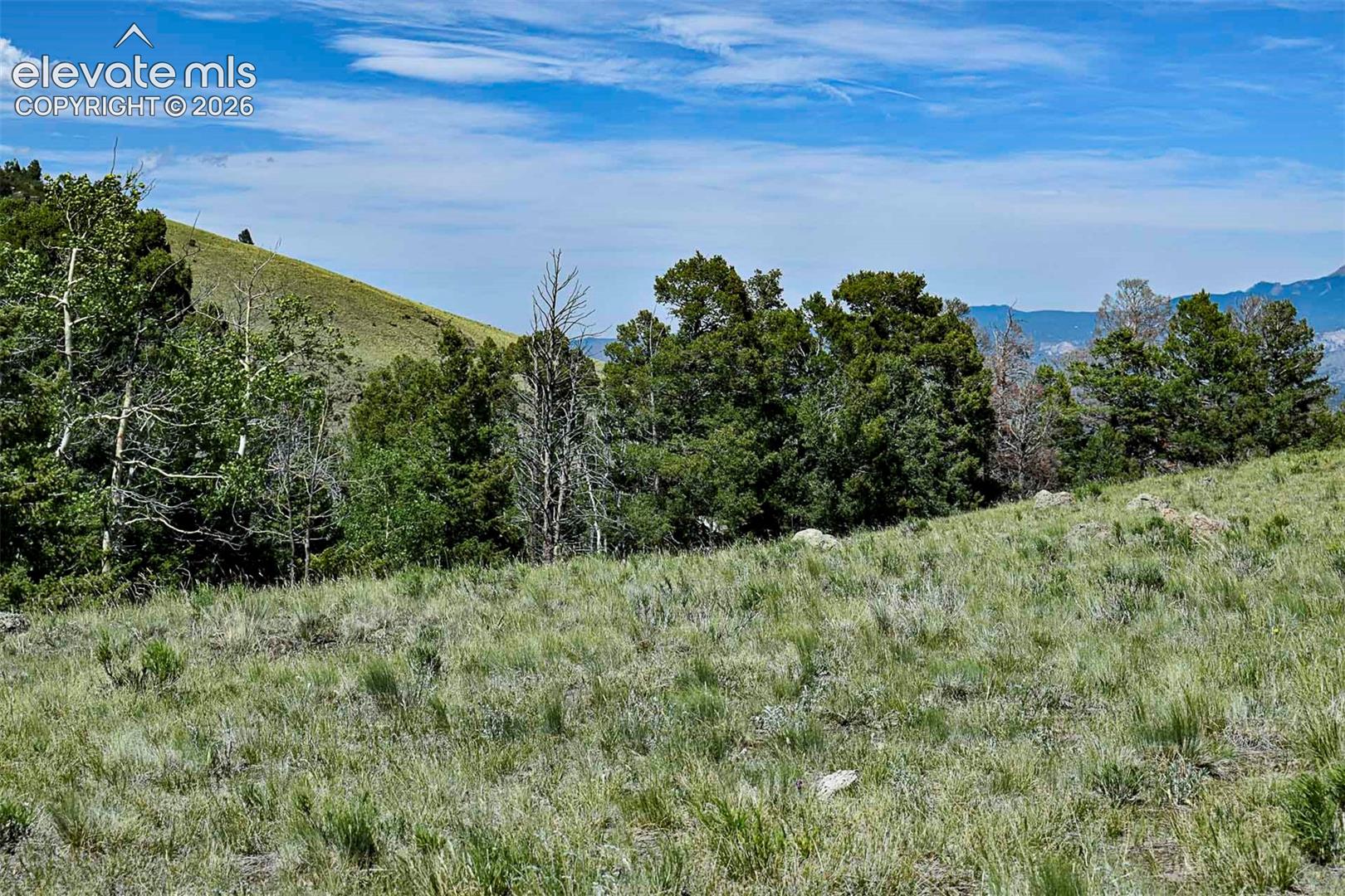 0 Bear Cat Road Guffey, CO 80820 - Photo 23 of 40 Gallery Image 23