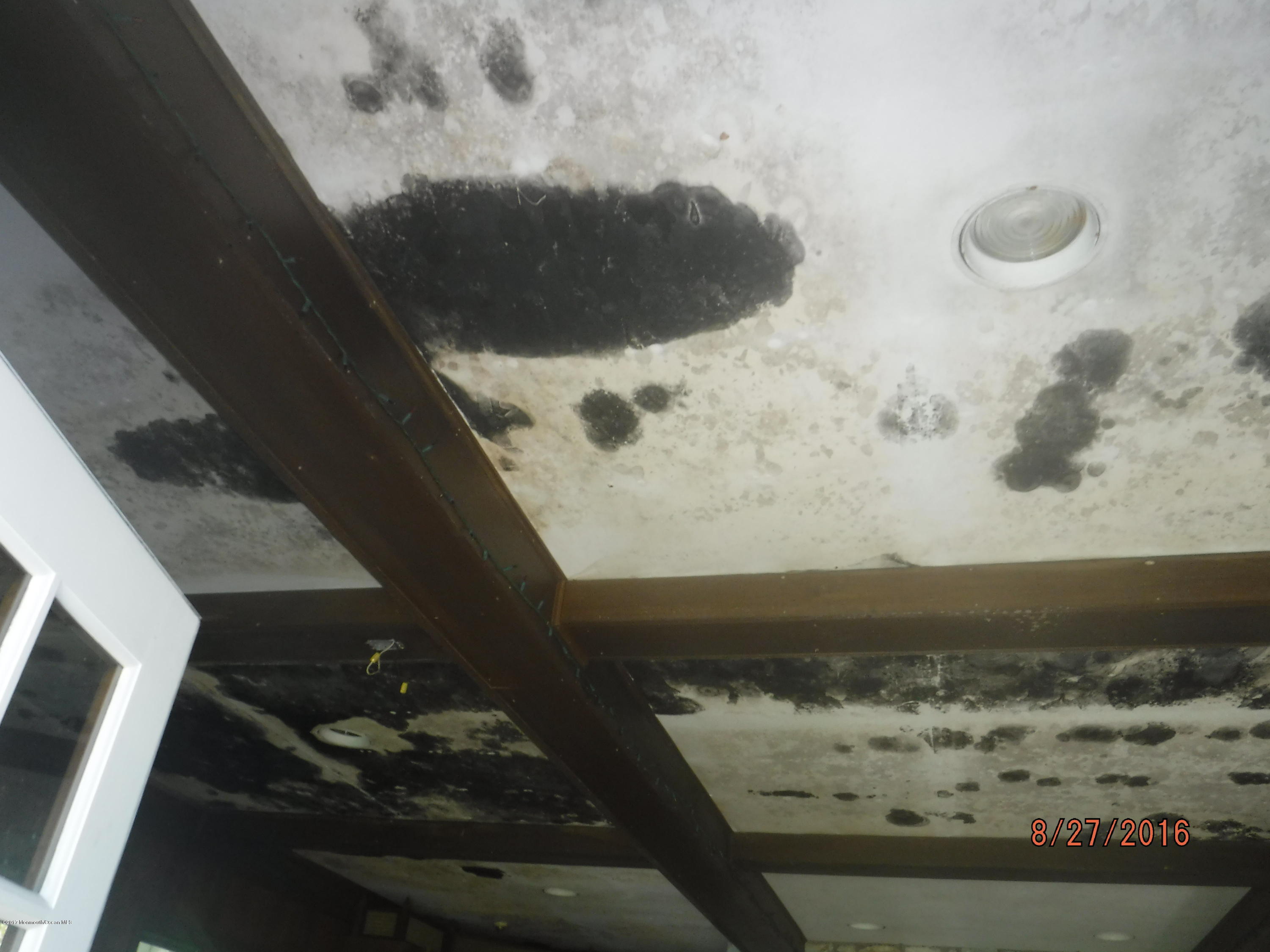 355 East Freehold Road Freehold, NJ 07728 - Photo 15 of 39 mold on family room ceiling