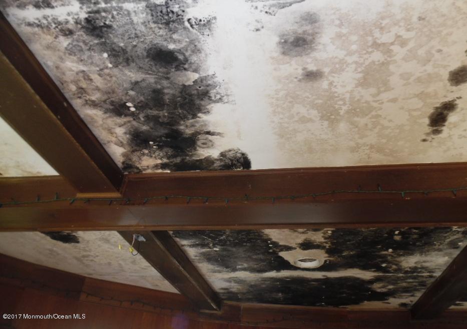 355 East Freehold Road Freehold, NJ 07728 - Photo 16 of 39 mold on family room ceiling