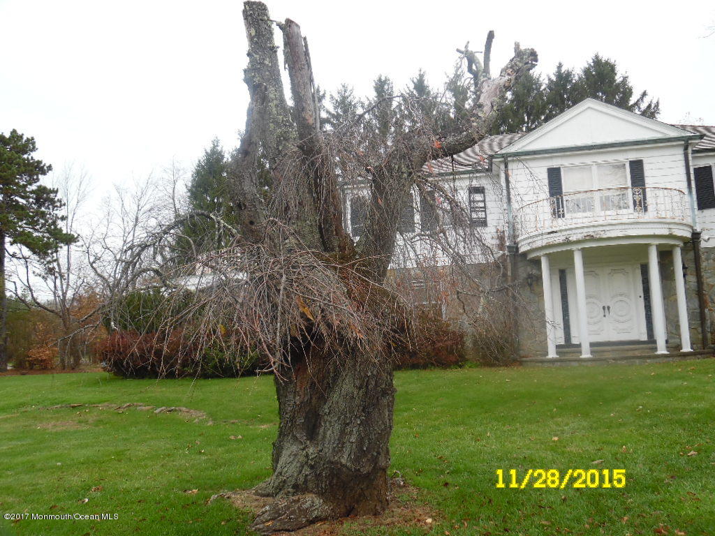 355 East Freehold Road Freehold, NJ 07728 - Photo 4 of 39 front