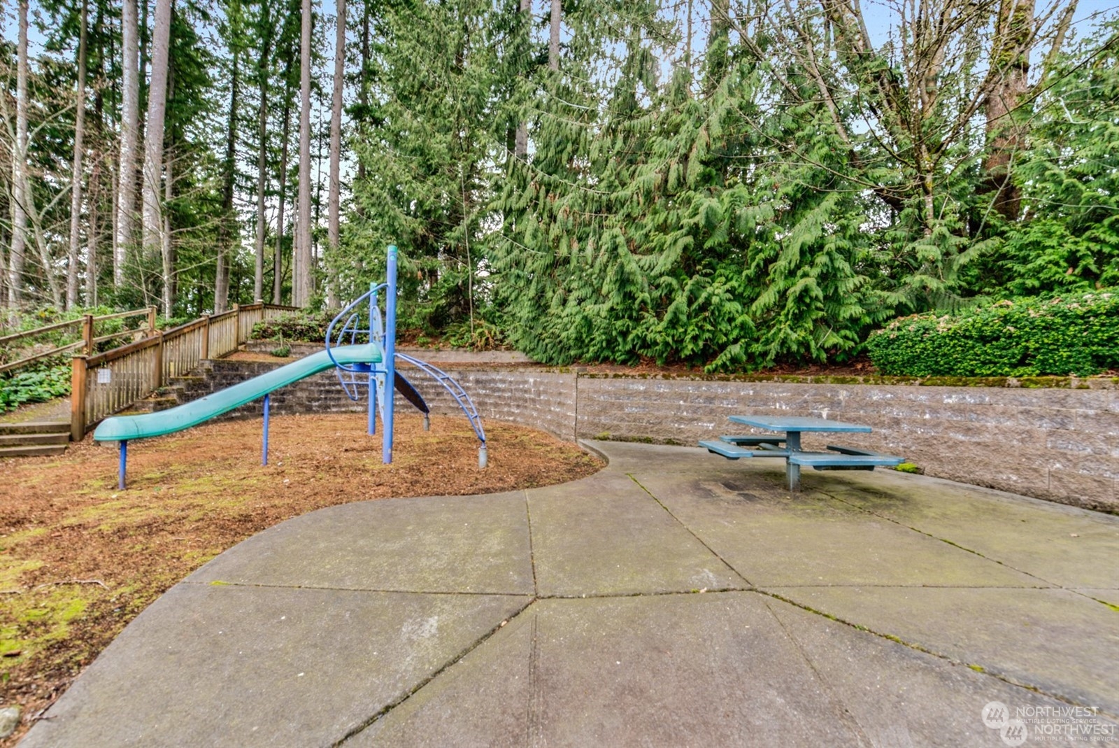 149 Cougar Ridge Road Northwest Issaquah, WA 98027 - Photo 31 of 37 a view of a backyard with swimming pool