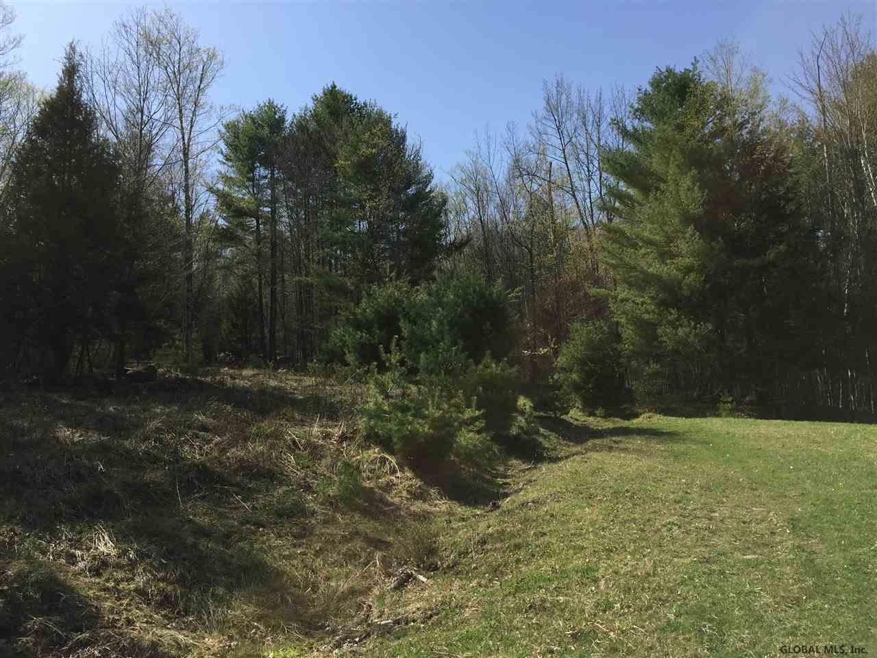 2533 North Shore Road Day, NY 12835 - Photo 11 of 22 Photo 11