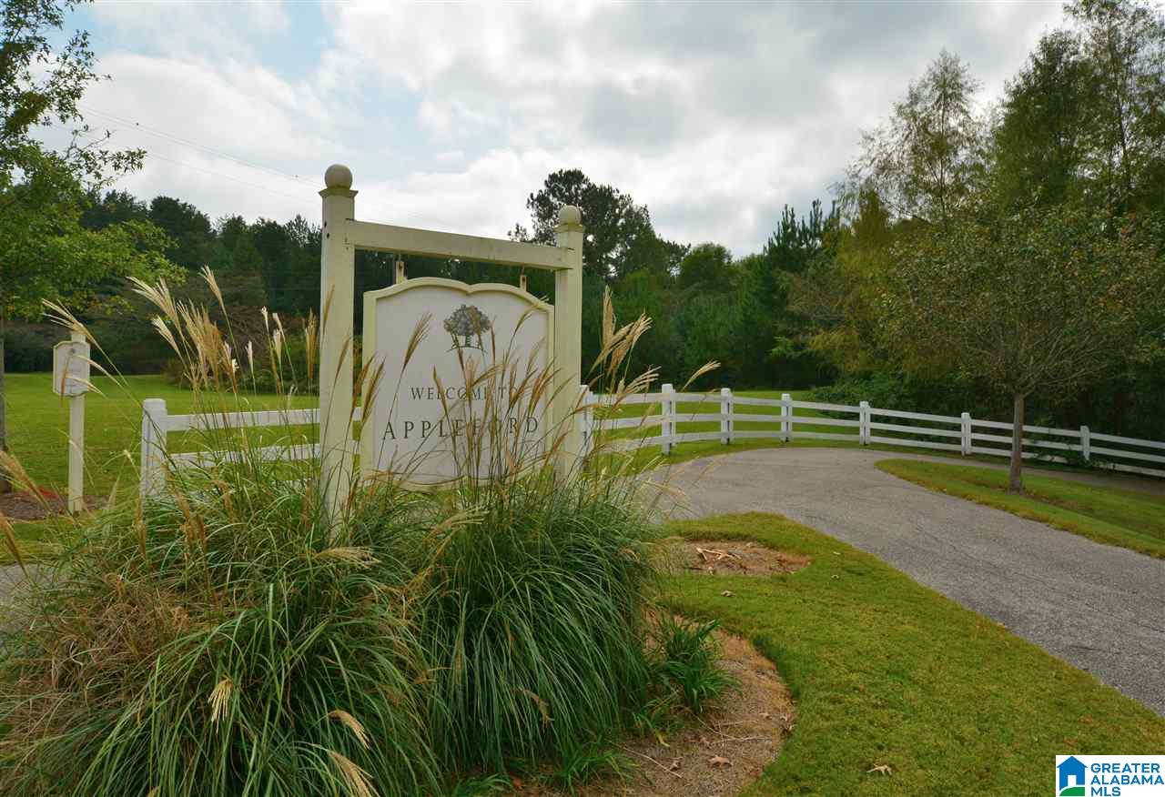 434 Appleford Road Helena, AL 35080 - Photo 45 of 48
