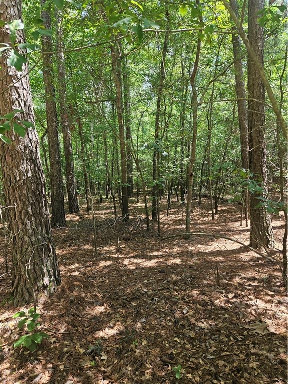 292 Mccannon Road Carlton, GA 30627 - Photo 10 of 21