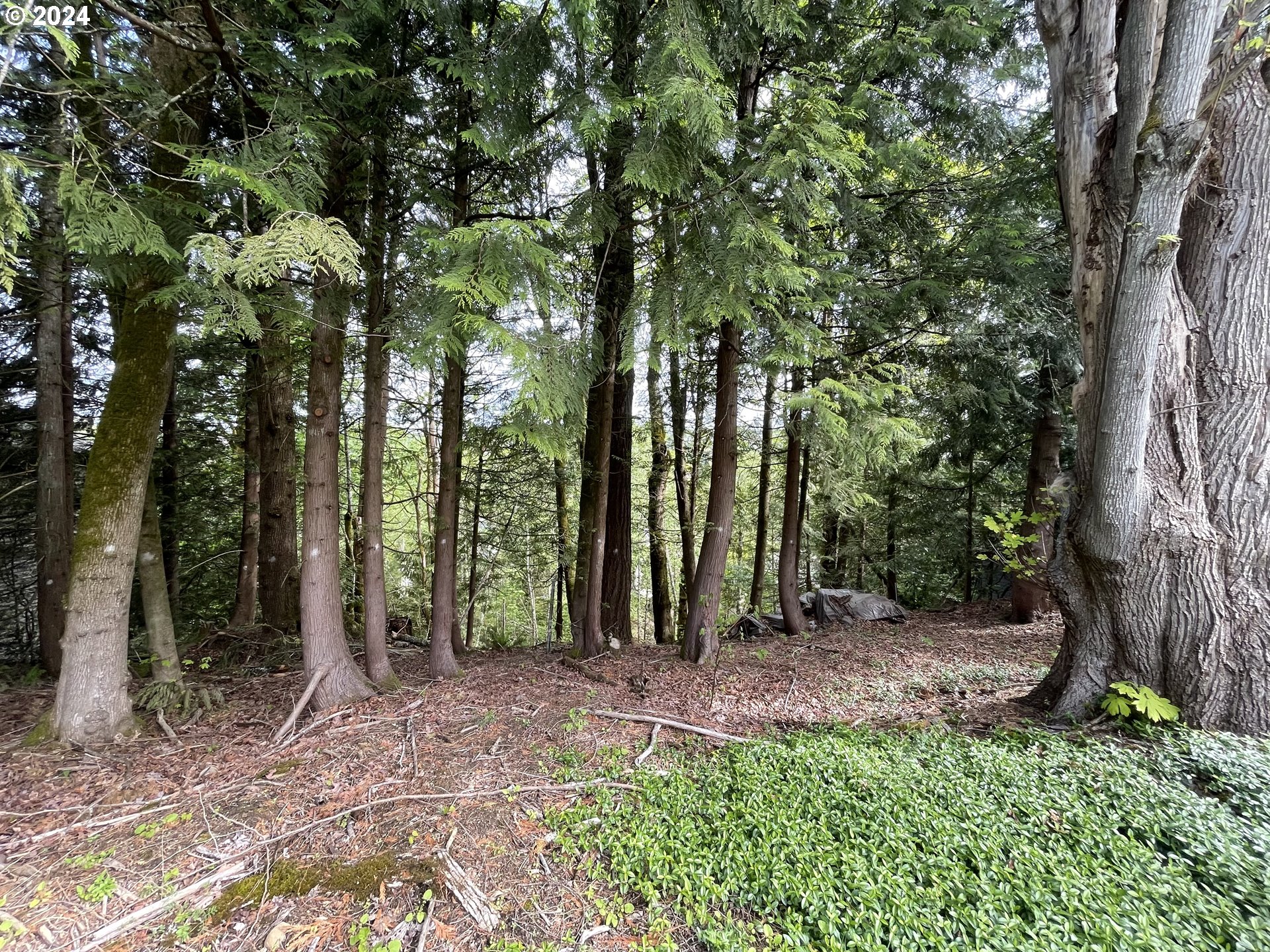 10314 Northwest Engleman Street Portland, OR 97229 - Photo 4 of 7
