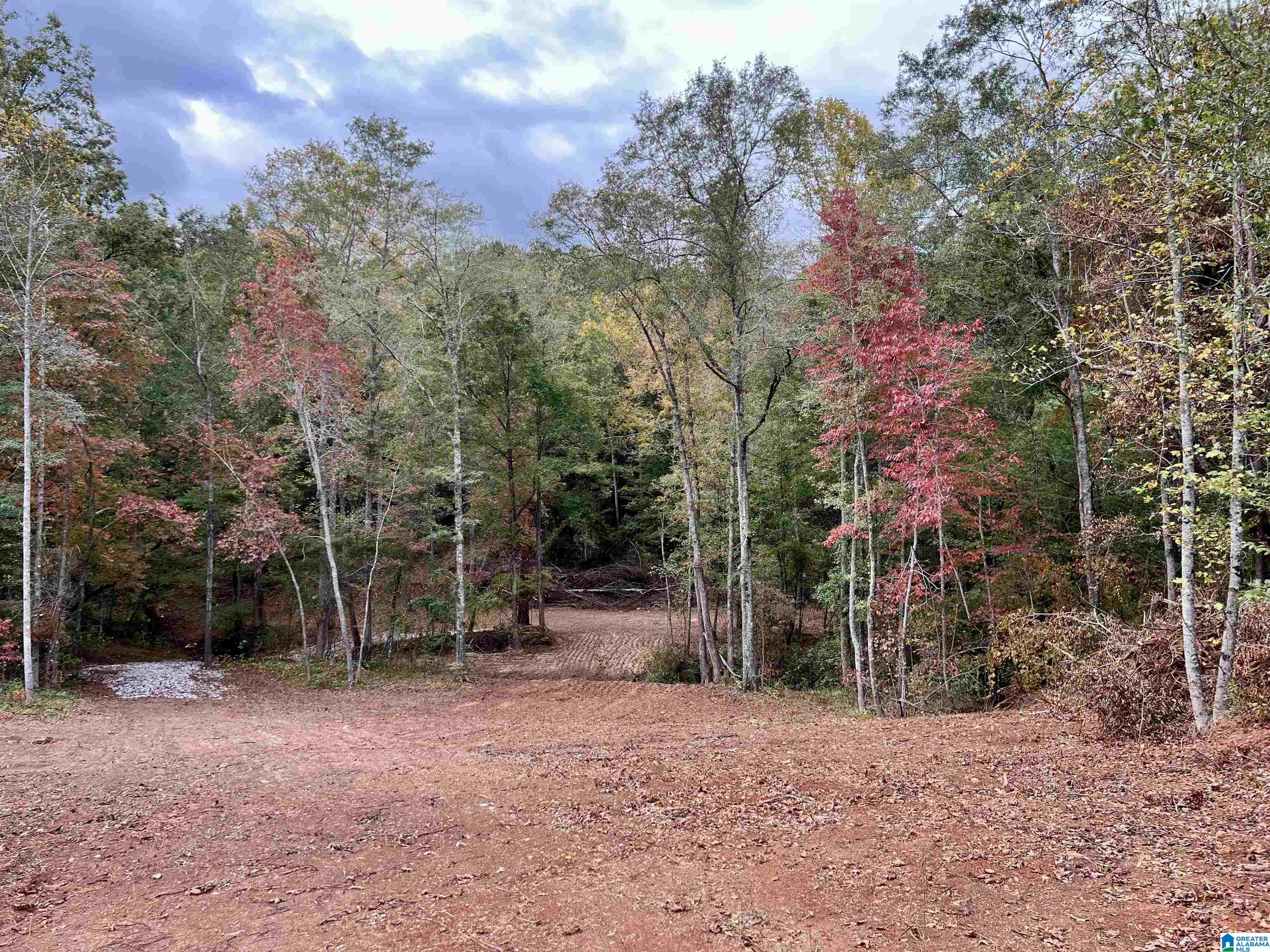 0 County Road 4 Wedowee, AL 36278 - Photo 6 of 24