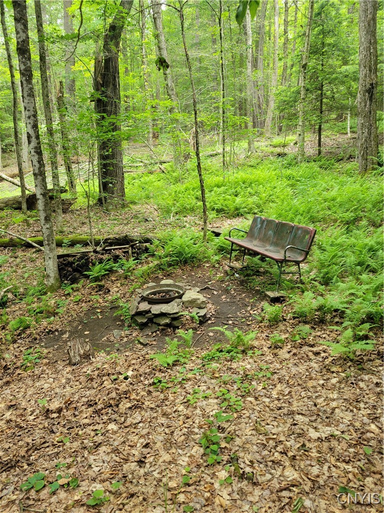 Keppy Carr Road Williamstown, NY 13493 - Photo 9 of 13