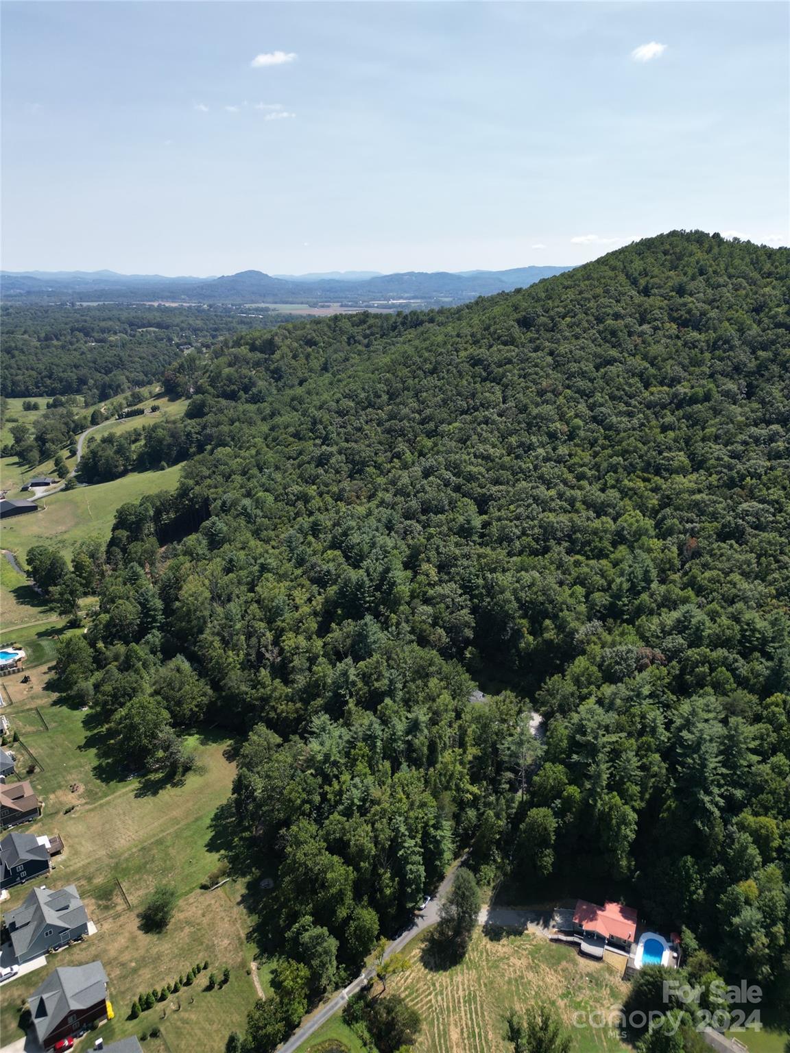 175 McDowell Road Mills River, NC 28759 - Photo 2 of 32