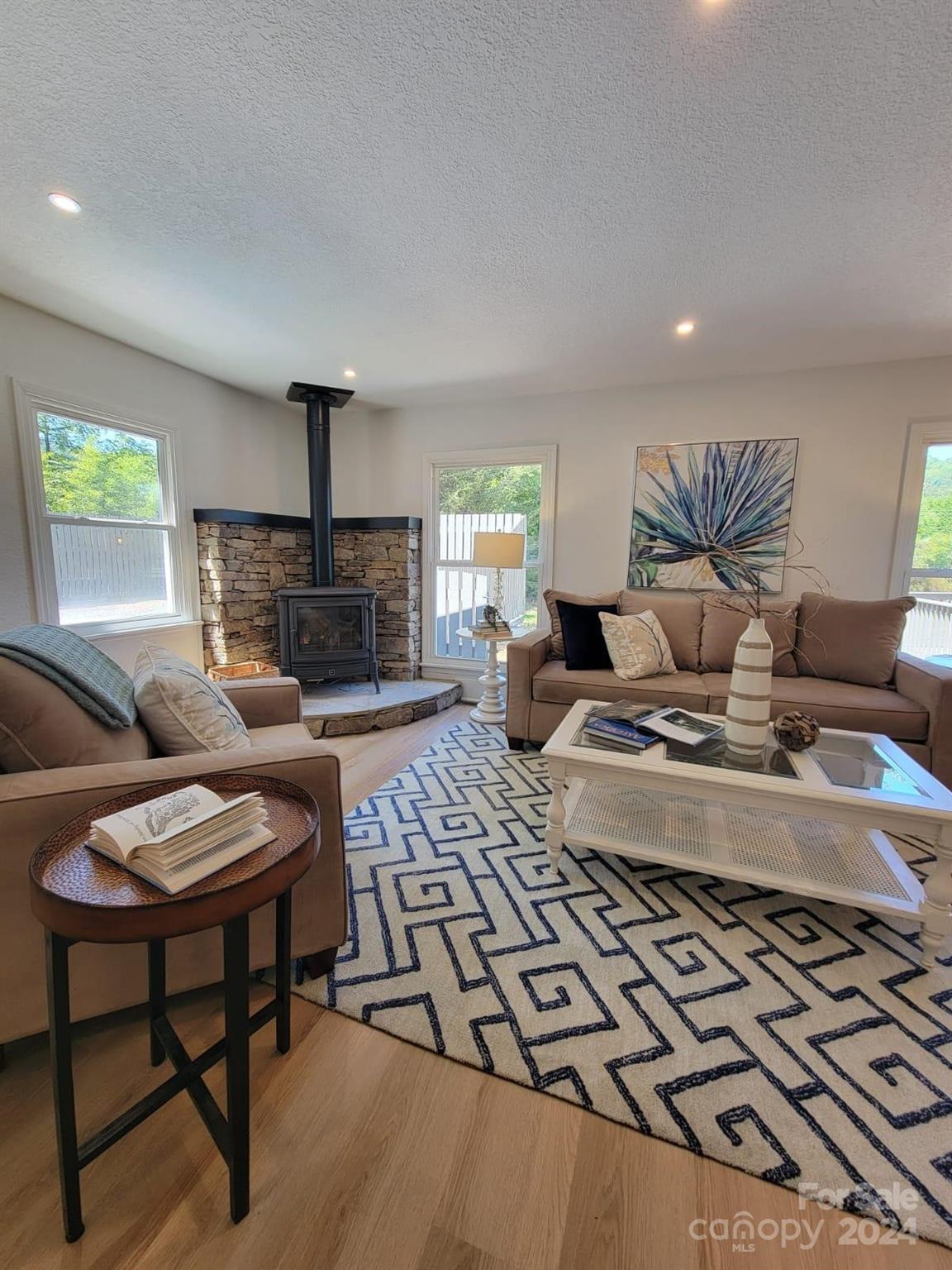 175 McDowell Road Mills River, NC 28759 - Photo 10 of 32