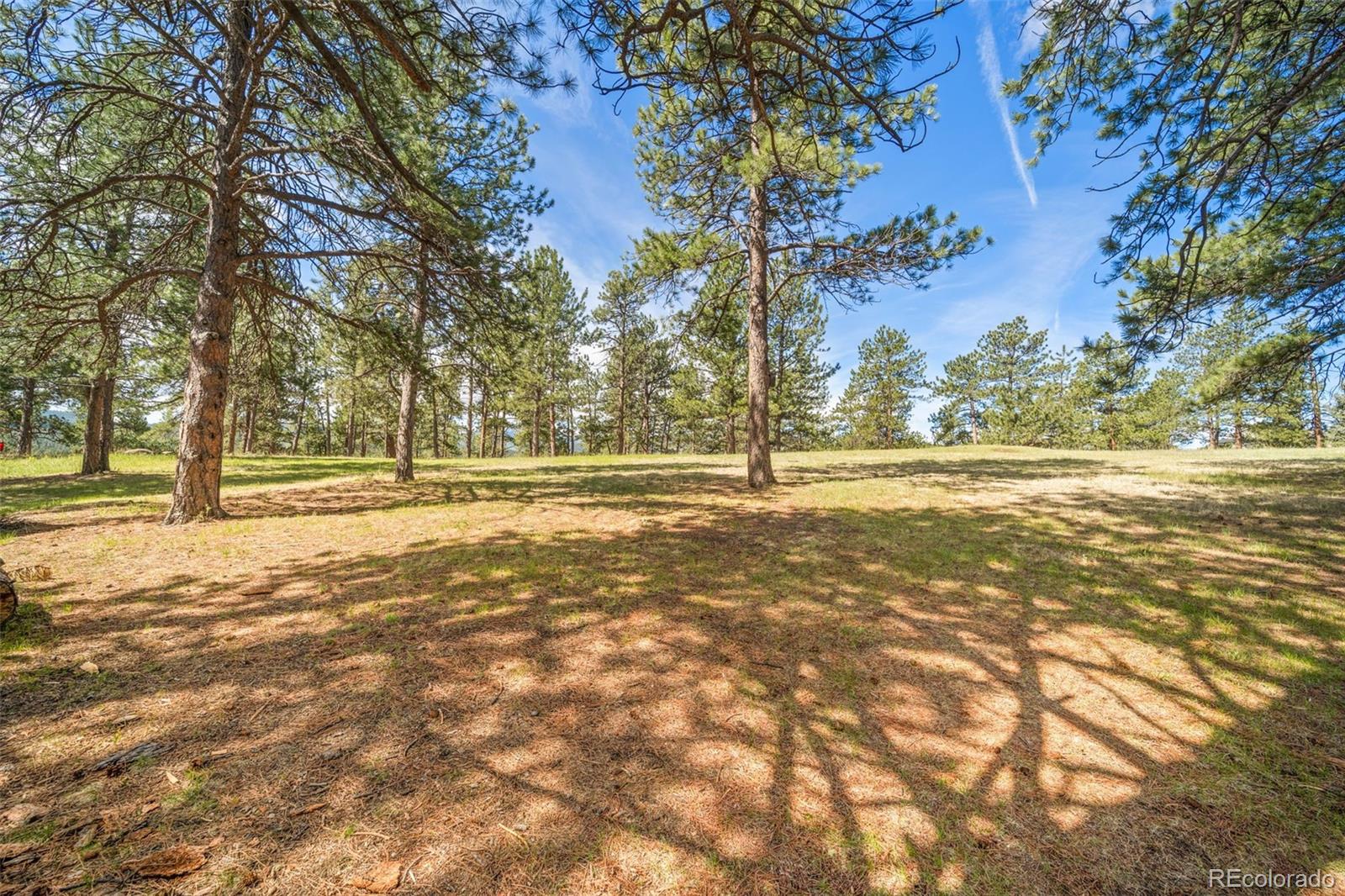 28480 Douglas Park Road Evergreen, CO 80439 - Photo 39 of 47