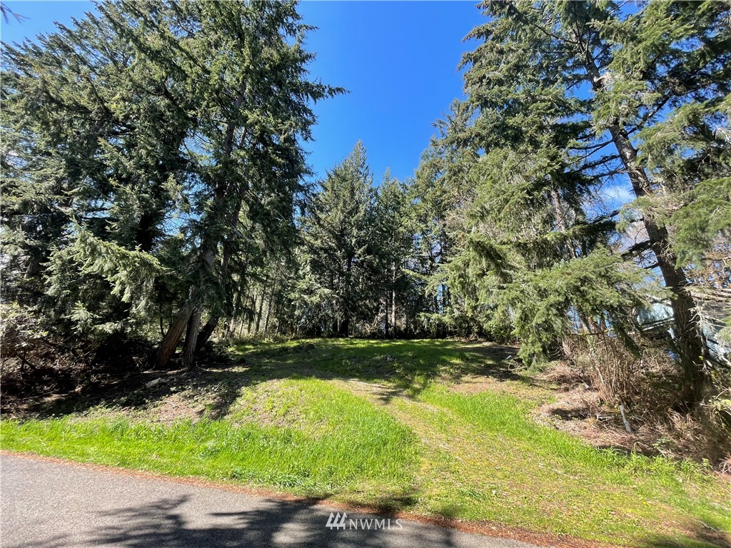 7929 Ellison Loop Northwest Olympia, WA 98502 - Photo 1 of 11 Gallery Image 1