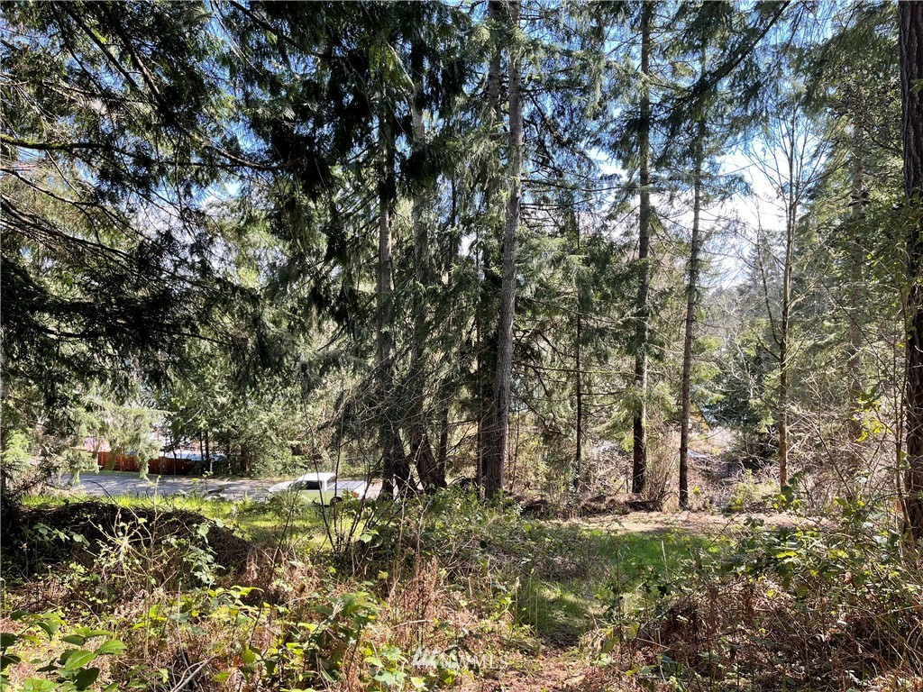 7929 Ellison Loop Northwest Olympia, WA 98502 - Photo 2 of 11 Gallery Image 2
