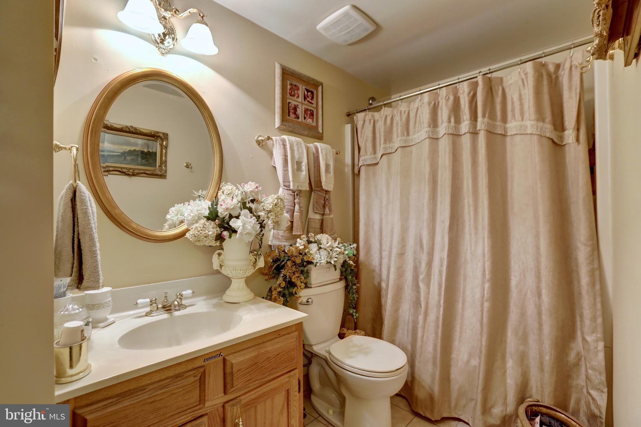 12080 Axline Road Lovettsville, VA 20180 - Photo 28 of 54 a bathroom with a sink a mirror a toilet and a window