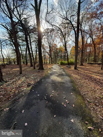 a view of road with trees