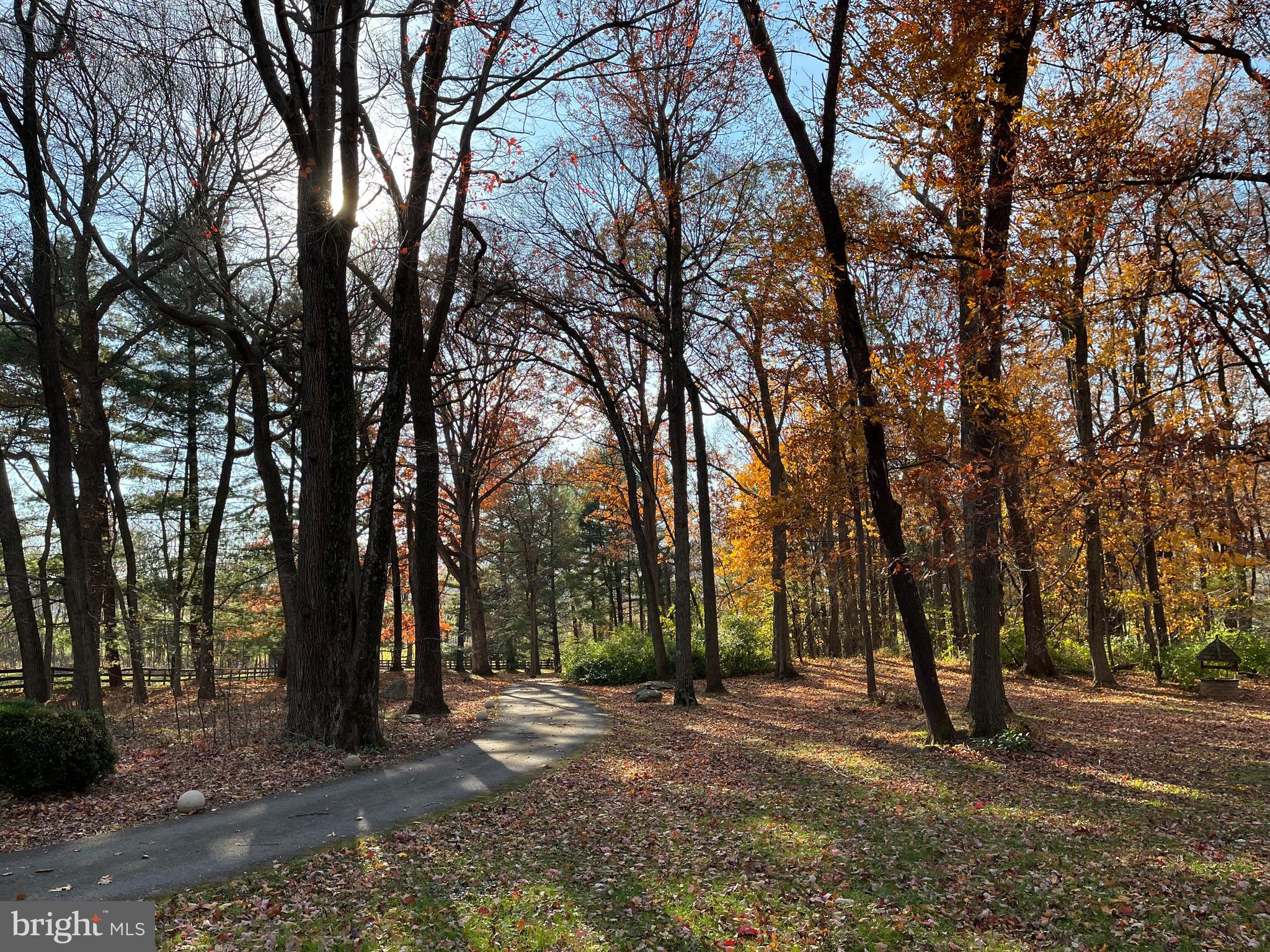12080 Axline Road Lovettsville, VA 20180 - Photo 31 of 54