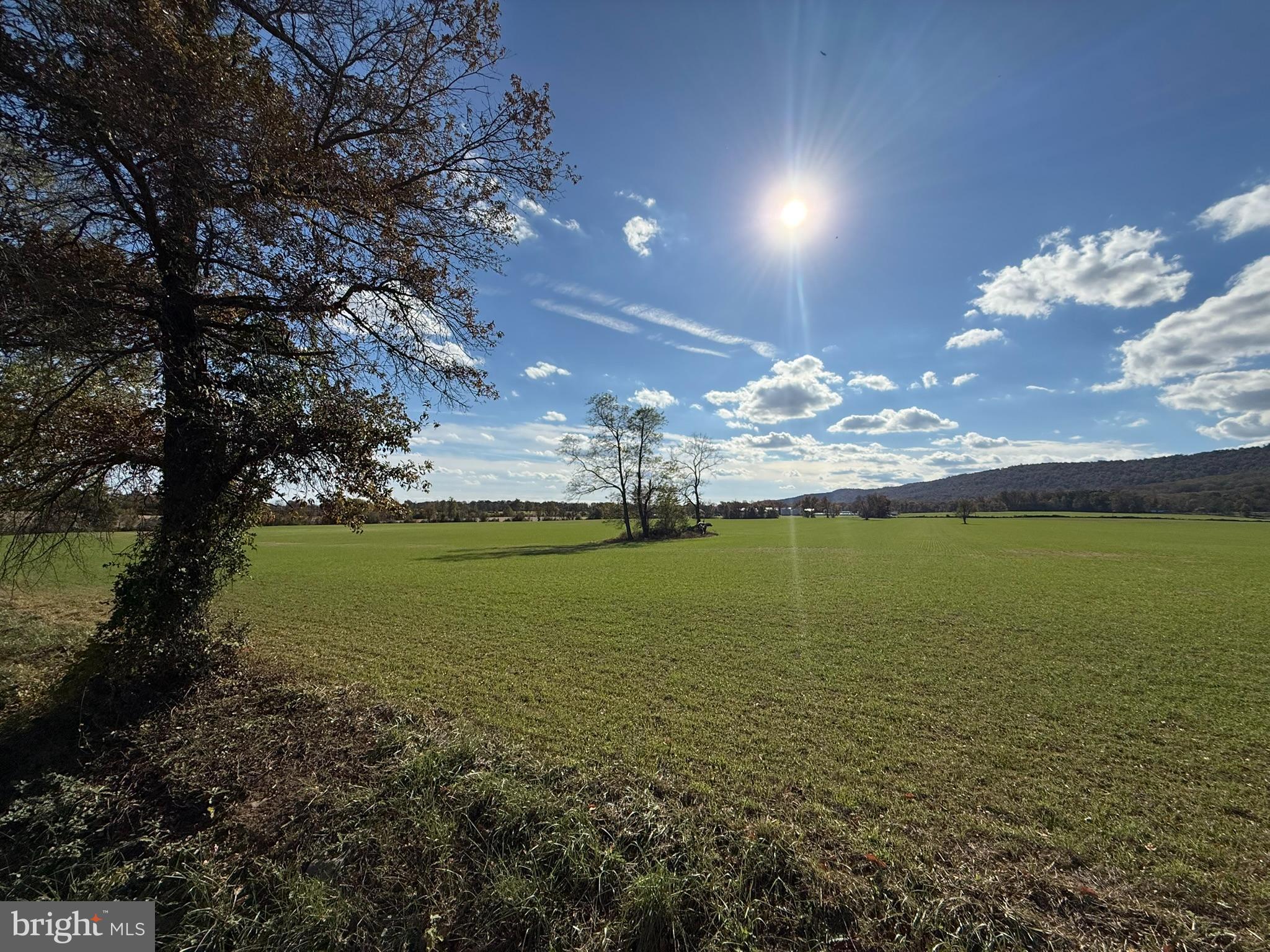 12080 Axline Road Lovettsville, VA 20180 - Photo 36 of 54 a view of an ocean from a yard