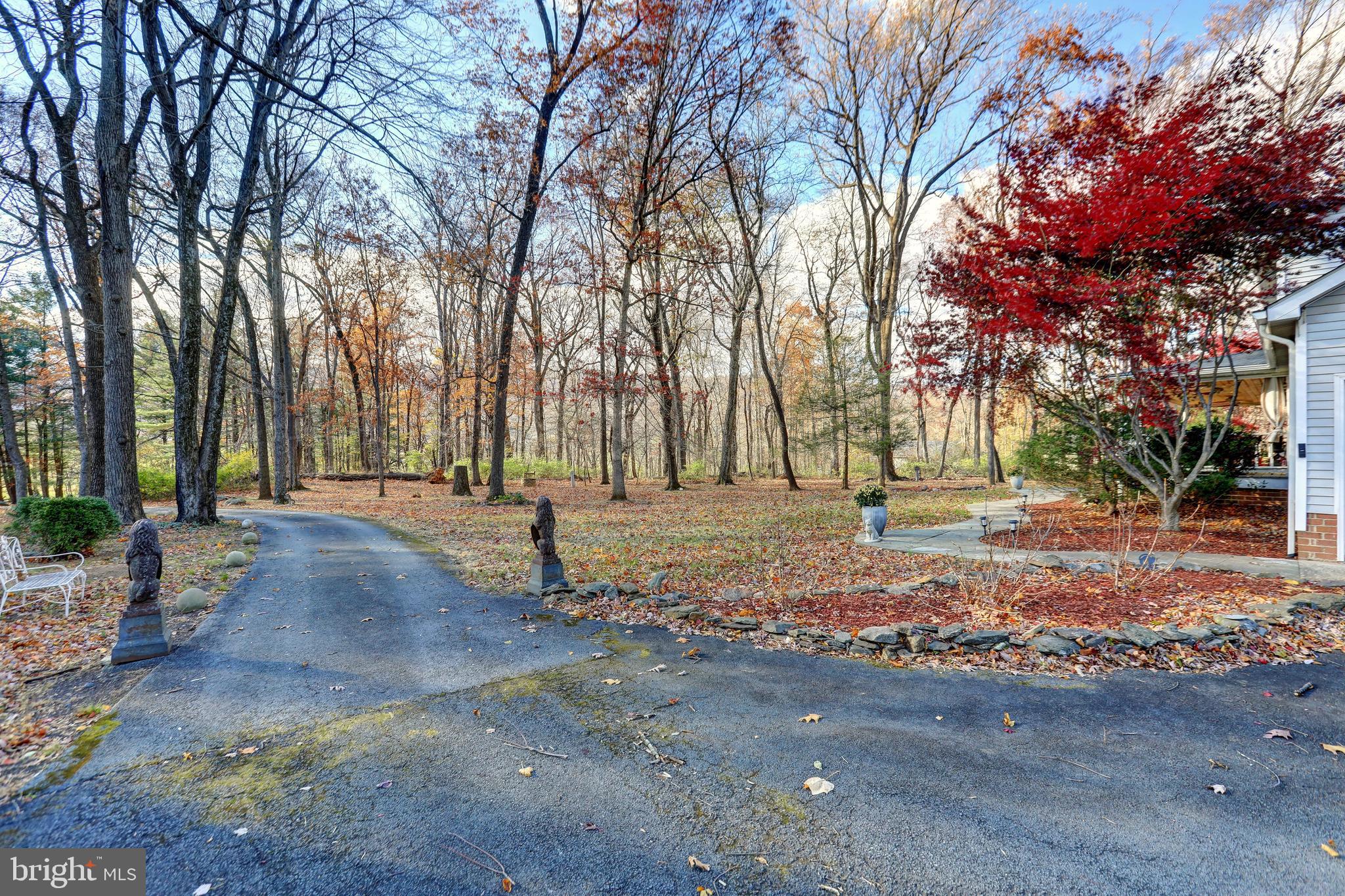 12080 Axline Road Lovettsville, VA 20180 - Photo 45 of 54 a view of road with trees