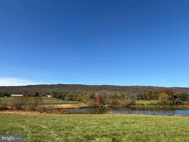 a close up of a plant in a pot