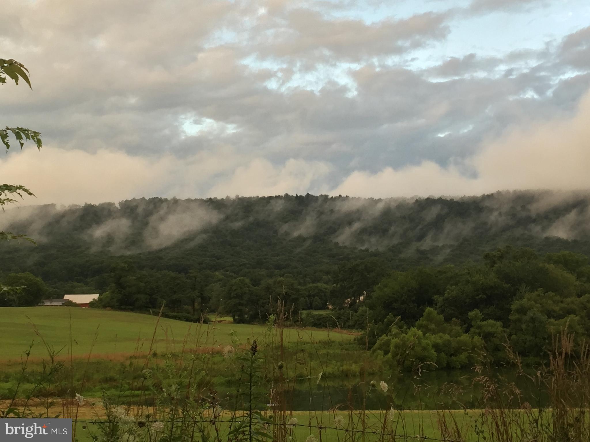 12080 Axline Road Lovettsville, VA 20180 - Photo 47 of 54 a view of outdoor space and yard
