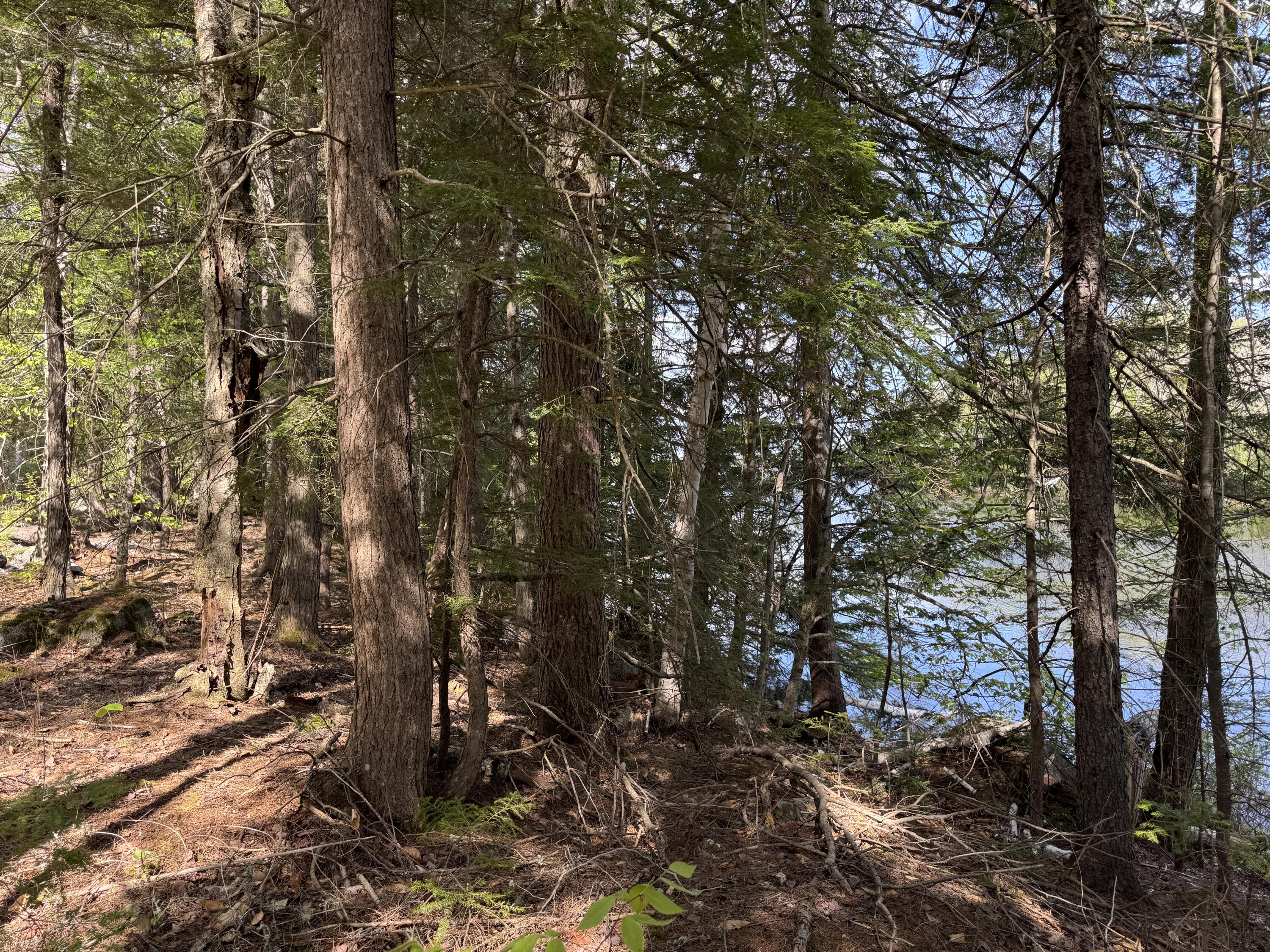 0 Elbow Lake Road Millinocket, ME 04462 - Photo 18 of 33 IMG_0407