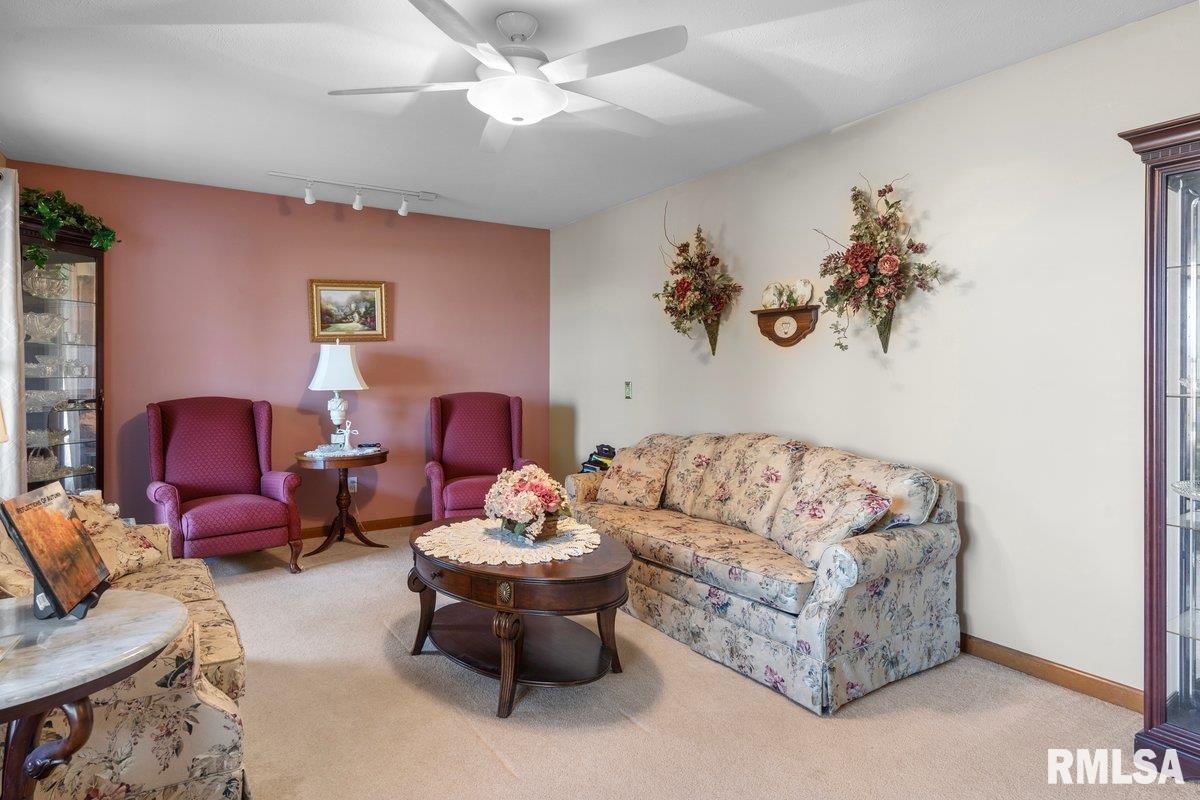 1306 Oakbrook Avenue Chatham, IL 62629 - Photo 22 of 44