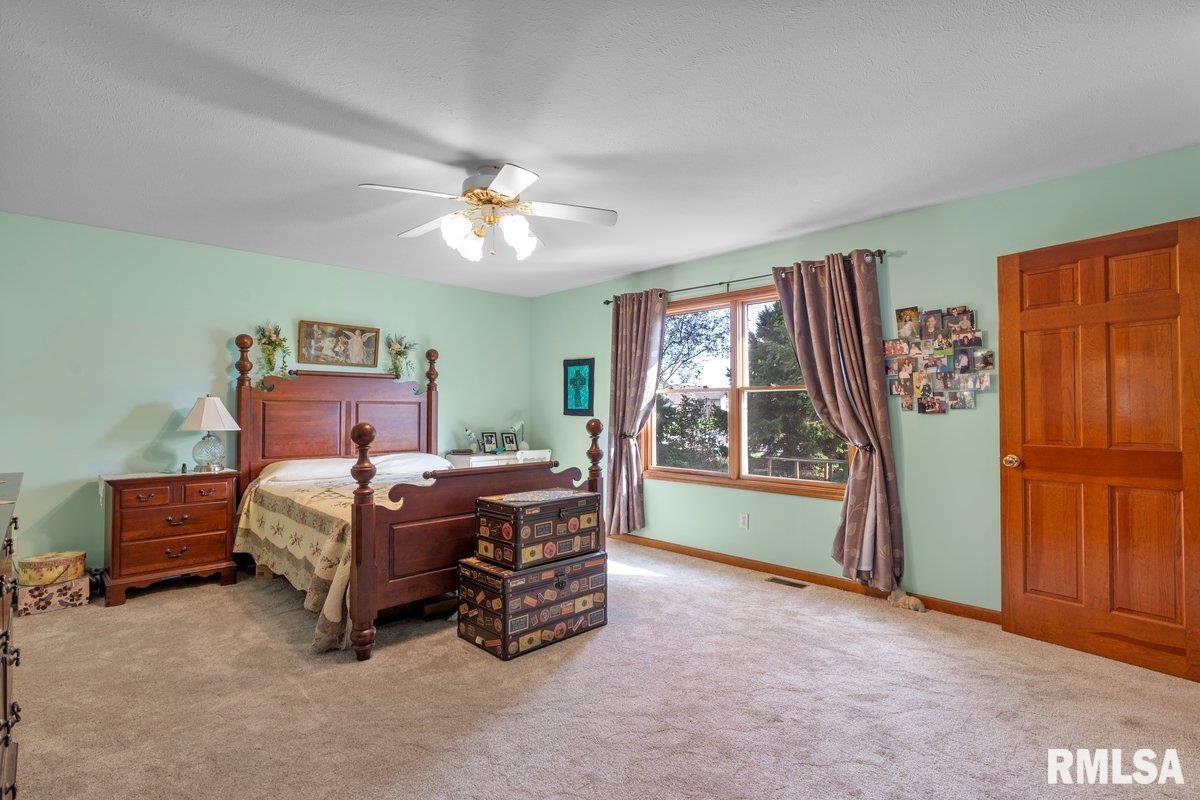 1306 Oakbrook Avenue Chatham, IL 62629 - Photo 24 of 44