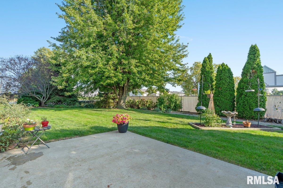 1306 Oakbrook Avenue Chatham, IL 62629 - Photo 39 of 44